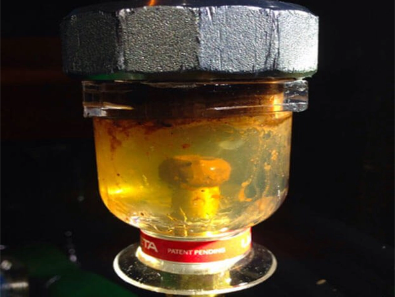 luneta-bowl-per-monitoraggio-contaminazione